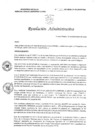 Vista preliminar de documento R245