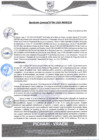 Vista preliminar de documento rgm61