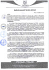 Vista preliminar de documento rgm68