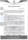 Vista preliminar de documento rgm69