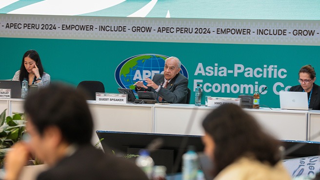 APEC: Minsa y economías del Asia-Pacifico fortalecen conocimientos y estrategias para enfrentar los desafíos globales en salud