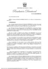 Vista preliminar de documento RD 027