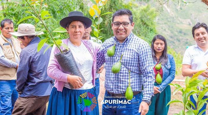 Gobernador regional de Apurímac entrega más de 10 mil plantones de palta a productores asociados de Talavera