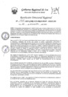 Vista preliminar de documento RDR-1825-2023