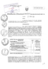 Vista preliminar de documento RD N°0030