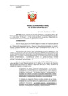 Vista preliminar de documento 36-2024-SANIPES/DFS