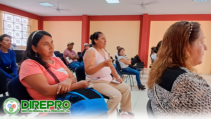 Taller Informativo sobre los Beneficios de la Formalización y Procompite para Emprendedores de diferentes rubros