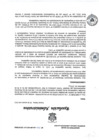 Vista preliminar de documento R266