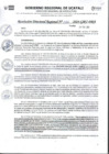 Vista preliminar de documento RDR N° 086-2024-GRU-DRA