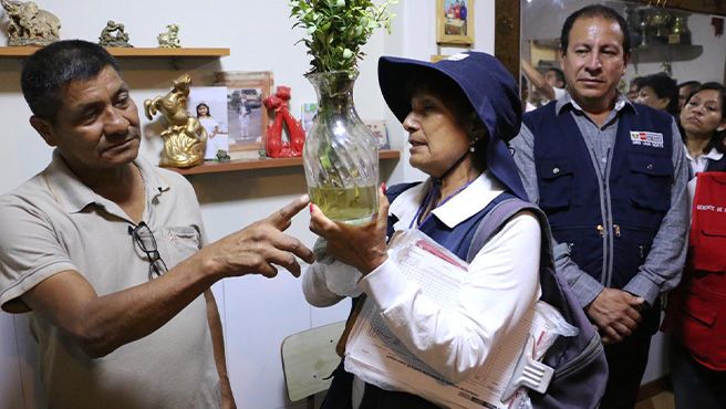 Lima norte: realizan acciones para la prevención y control de dengue en Puente Piedra