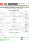 Vista preliminar de documento CALIFICACION DL 276