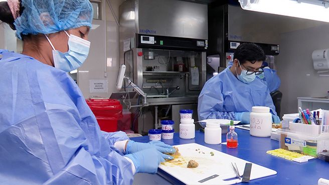 INEN Departamento de Patología obtiene certificación internacional ISO 90012015