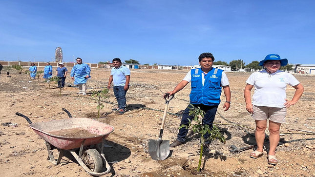 EsSalud La Libertad realiza arborización para contribuir al cuidado del medio ambiente