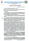Vista preliminar de documento Resolución 208