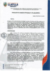 Vista preliminar de documento RGM-028-2024