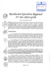 Vista preliminar de documento RER 101-2024-GOB