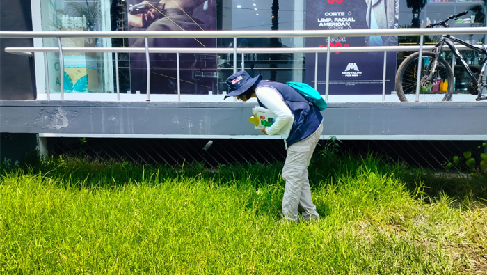 En Surquillo le hacemos el pare al dengue.