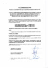 Vista preliminar de documento Proceso de Selección 001-2023 - Acta de integración de bases