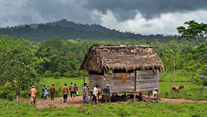 TC reconoce derecho de participación de los pueblos indígenas en desarrollo de proyectos que involucren a sus comunidades