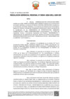 Vista preliminar de documento RGR N° 41 2024 GRLL GGR GRI