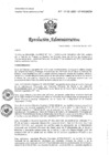 Vista preliminar de documento R381