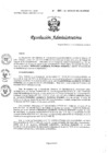 Vista preliminar de documento R385