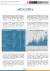 Vista preliminar de documento RCR Arequipa  - Anual 2023