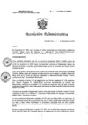 Vista preliminar de documento R394