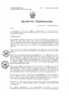 Vista preliminar de documento R397