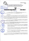 Vista preliminar de documento R.D 0221-2024