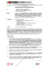 Vista preliminar de documento 28.1. ANEXO 1 - RD N° 028-2024-PNVR Informe de liquidación final