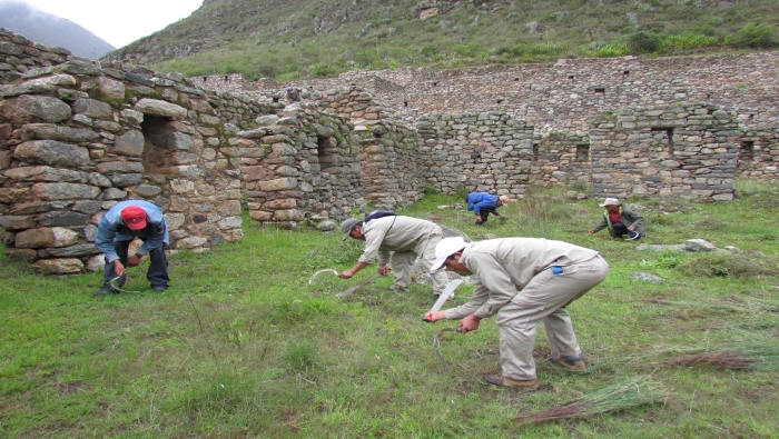 Ministerio de Cultura reabrió hoy la Red de Caminos Inka de Machupicchu para la visita turística