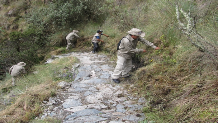 Ministerio de Cultura reabrió hoy la Red de Caminos Inka de Machupicchu para la visita turística