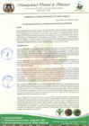 Vista preliminar de documento ACUERDO DE CONCEJO MUNICIPAL N°  009-2024-CM-MDI