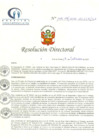 Vista preliminar de documento RD N° 149-09-2020-HCLLH-SA