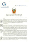 Vista preliminar de documento RD N° 155-09-2020-HCLLH-SA