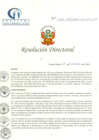 Vista preliminar de documento RD N° 156-09-2020-HCLLH-SA