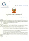 Vista preliminar de documento RD N° 157-09-2020-HCLLH-SA