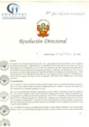 Vista preliminar de documento RD N° 160-10-2020-HCLLH-SA