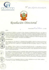 Vista preliminar de documento RD N° 161-10-2020-HCLLH-SA