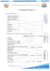 Vista preliminar de documento FICHA CURRICULAR CAS N°001-2024