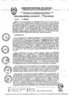 Vista preliminar de documento RGR0068-2024-GRI