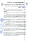Vista preliminar de documento Resolucion 15