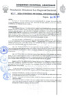Vista preliminar de documento Nº 17-2024-GOBIERNO REGIONAL AMAZONAS/RIS-B