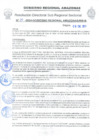 Vista preliminar de documento Nº 20-2024-GOBIERNO REGIONAL AMAZONAS/RIS-B