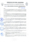 Vista preliminar de documento Nº 22-2024-GOBIERNO REGIONAL AMAZONAS/RIS-B
