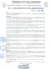 Vista preliminar de documento Nº 23-2024-GOBIERNO REGIONAL AMAZONAS/RIS-B