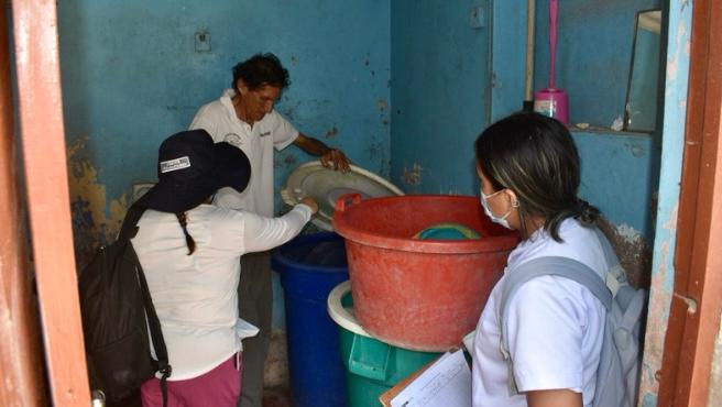 Dengue: Diris Lima Sur inspecciona 11 000 viviendas con acciones de control larvario en Villa María del Triunfo