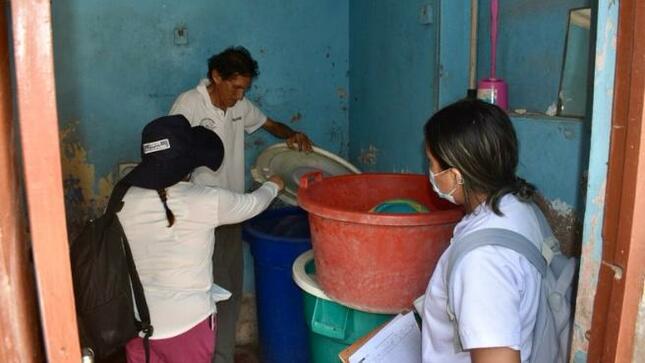 Dengue: Diris Lima Sur inspecciona 11 000 viviendas con acciones de control larvario en Villa María del Triunfo