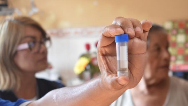 Dengue: Diris Lima Sur inspecciona 11 000 viviendas con acciones de control larvario en Villa María del Triunfo